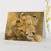 De kaart van de Leeuwin en van de Welp (Gele Bloem)