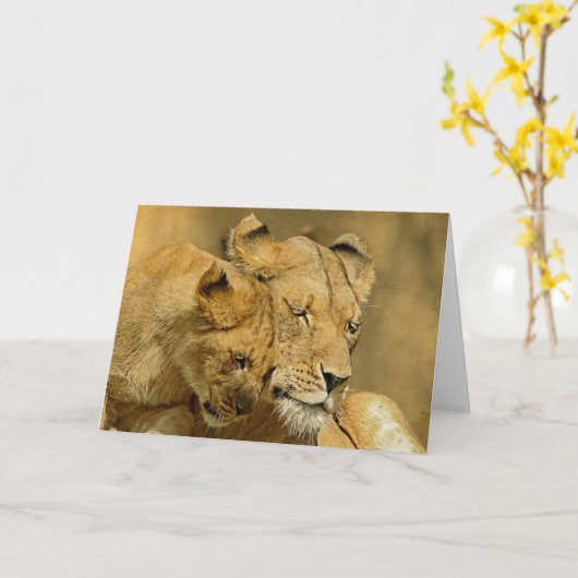 De kaart van de Leeuwin en van de Welp (Gele Bloem)