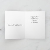 de kaart van de libelsympathie (Binnen)