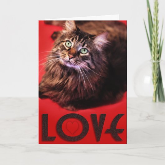 De Kaart van de LIEFDE (Voorkant)