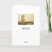 De Kaart van de Liefde van de Kat van de (Achterkant)