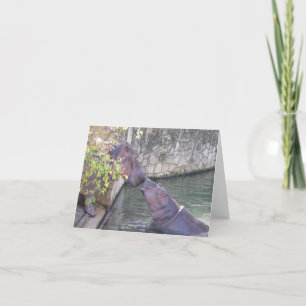 De kaart van de moeder en van de nota van