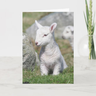 DE KAART VAN DE MOEDERDAG