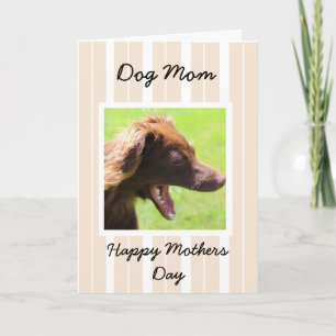 De Kaart van de moederdag voor de Mamma's van de