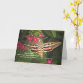 De kaart van de Mot van de kolibrie (Gele Bloem)