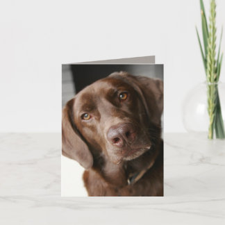 De Kaart van de nota