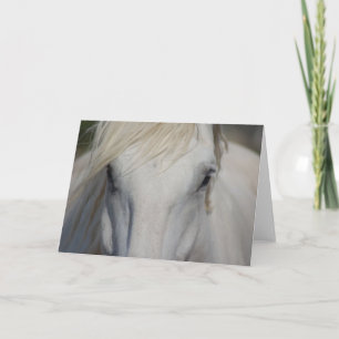 De Kaart van de nota