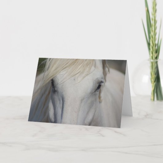 De Kaart van de nota (Voorkant)