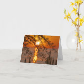 De Kaart van de nota (Gele Bloem)