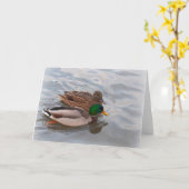 De Kaart van de nota: De Eenden van de wilde eend (Gele Bloem)