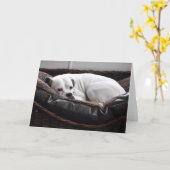 De Kaart van de nota: De hond van de bokser (Gele Bloem)