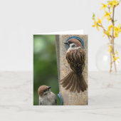 De Kaart van de nota: De Mussen van de boom op (Gele Bloem)