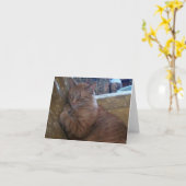 De Kaart van de Nota enkel Chillin (Gele Bloem)
