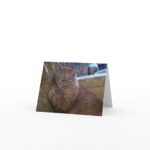 De Kaart van de Nota enkel Chillin