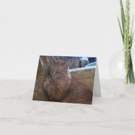 De Kaart van de Nota enkel Chillin