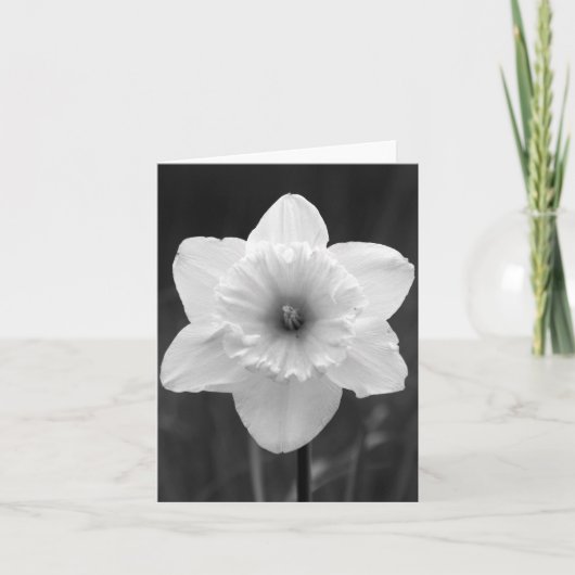 De Kaart van de nota - Gele narcis B/W (Voorkant)