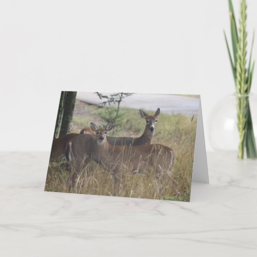 De Kaart van de nota - Herten - Nieuwsgierig Paar (Voorkant)
