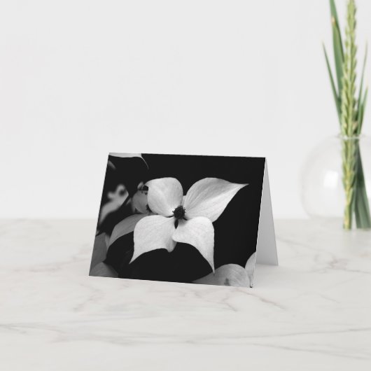 De Kaart van de nota - Kornoelje B/W (Voorkant)