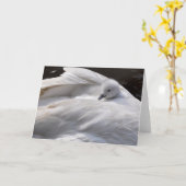 De Kaart van de nota: Leuke Jonge zwaan op de Rug (Gele Bloem)