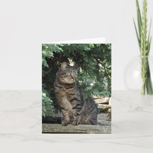 De Kaart van de nota: Minnie (Voorkant)