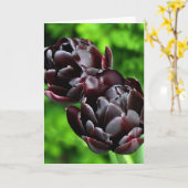 De Kaart van de nota: Tulpen (Gele Bloem)