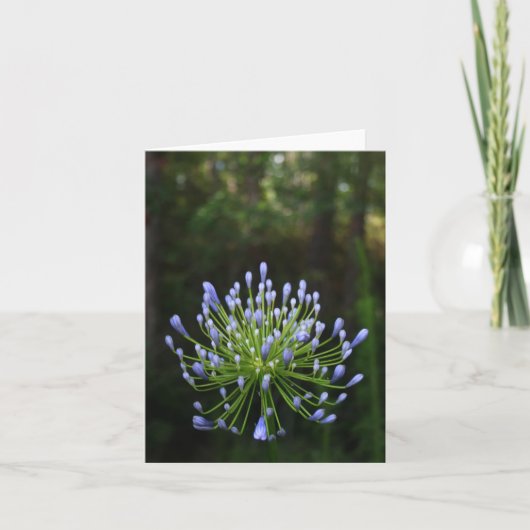 De Kaart van de Nota van Agapanthus (Voorkant)