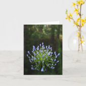 De Kaart van de Nota van Agapanthus (Gele Bloem)