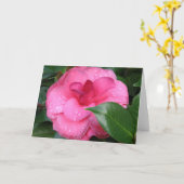 De Kaart van de Nota van Camilia (Gele Bloem)