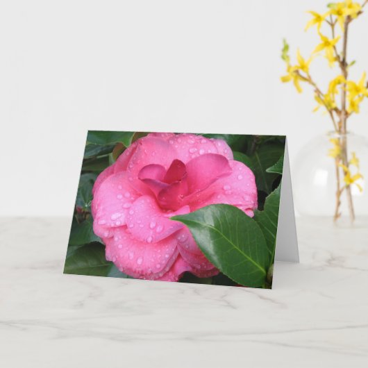 De Kaart van de Nota van Camilia (Gele Bloem)