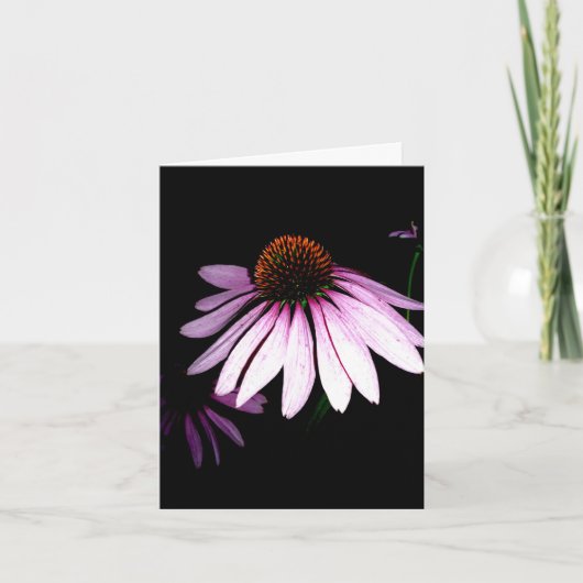 De Kaart van de Nota van Coneflower (Voorkant)