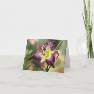 De Kaart van de Nota van Daylily