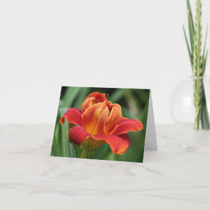 De Kaart van de Nota van Daylily