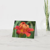 De Kaart van de Nota van Daylily (Voorkant)