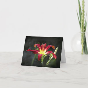 De Kaart van de Nota van Daylily
