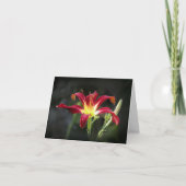De Kaart van de Nota van Daylily (Voorkant)