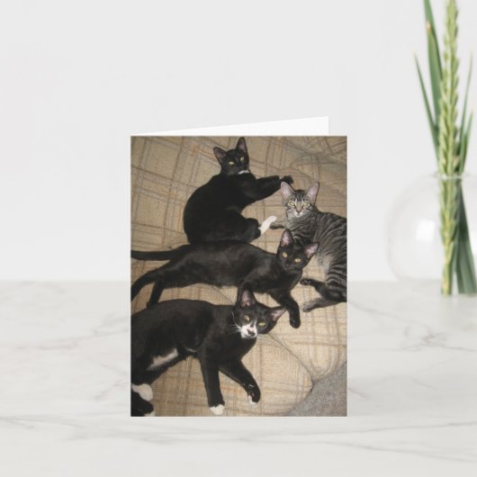 De kaart van de Nota van de Bemanning Lege (Voorkant)