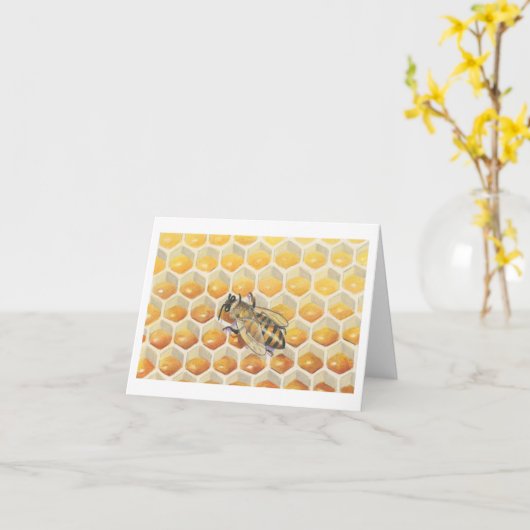 De kaart van de Nota van de Bij van de Honing (Gele Bloem)