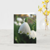 De kaart van de Nota van de Bloem van de Daling (Gele Bloem)