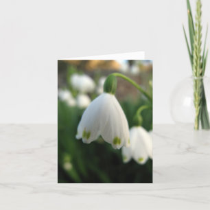 De kaart van de Nota van de Bloem van de Daling