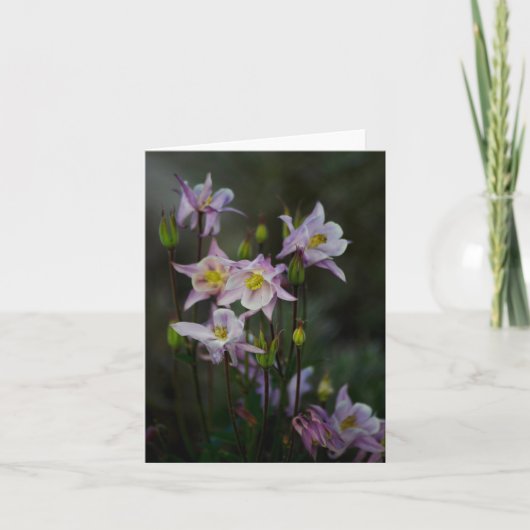 De Kaart van de Nota van de Bloemen van de akelei (Voorkant)