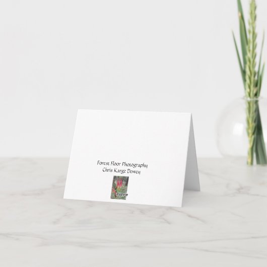 De Kaart van de Nota van de dahlia (Achterkant)