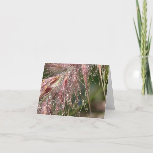 De Kaart van de Nota van de Dauw van de ochtend (Voorkant)