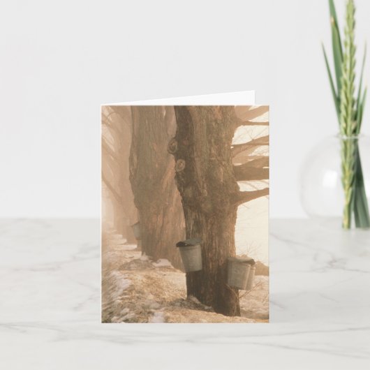 De Kaart van de Nota van de Emmers van het sap (Voorkant)