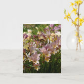 De Kaart van de Nota van de fresia (Gele Bloem)