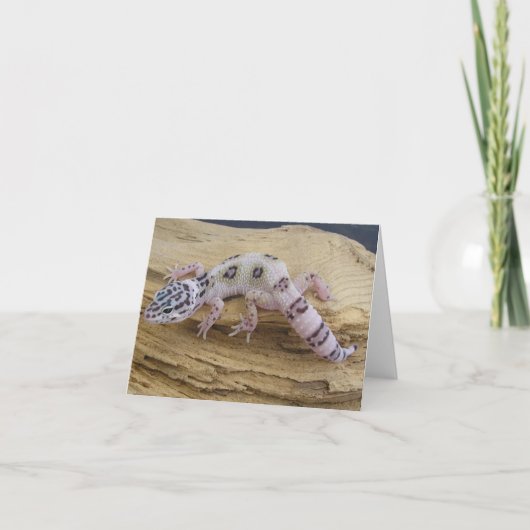 De Kaart van de Nota van de Gekko van de luipaard (Voorkant)