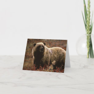 De Kaart van de Nota van de grizzly
