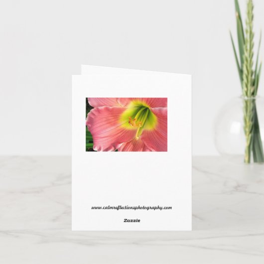 De Kaart van de Nota van de Hond van Pasen (Achterkant)