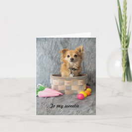 De Kaart van de Nota van de Hond van Pasen