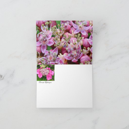 De Kaart van de Nota van de Hydrangea hortensia (Binnen)