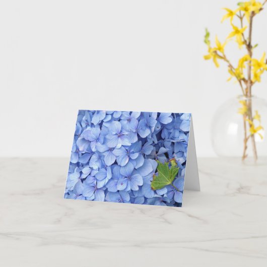 De Kaart van de Nota van de hydrangea hortensia (Gele Bloem)